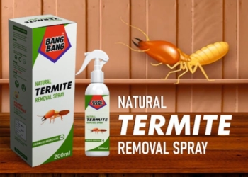 Termite Removal Spray